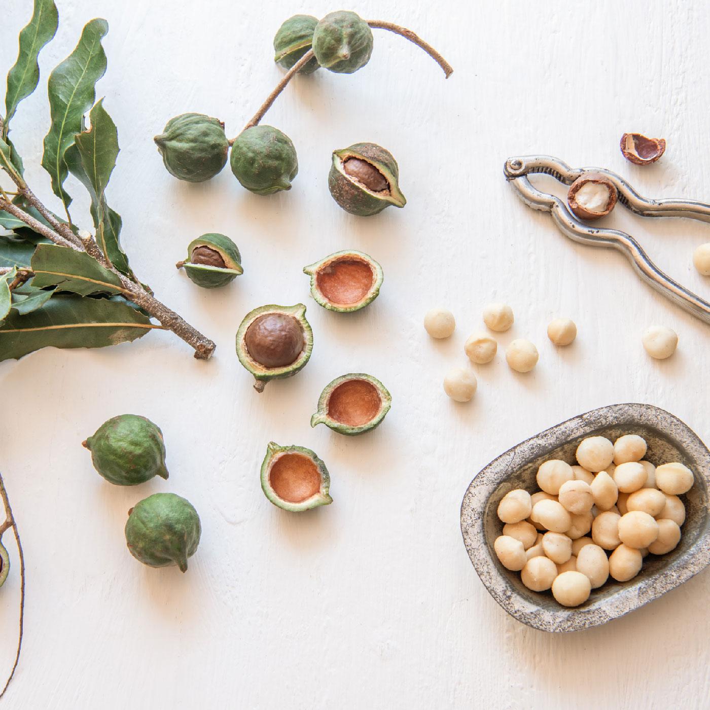 Roasted & Salted Macadamias Cecilia's Farm