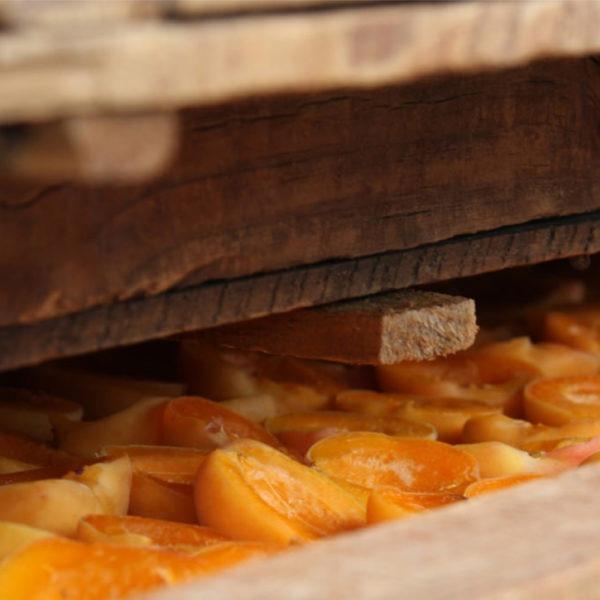 Halved peaches laid out for drying Halved peaches laid out for drying