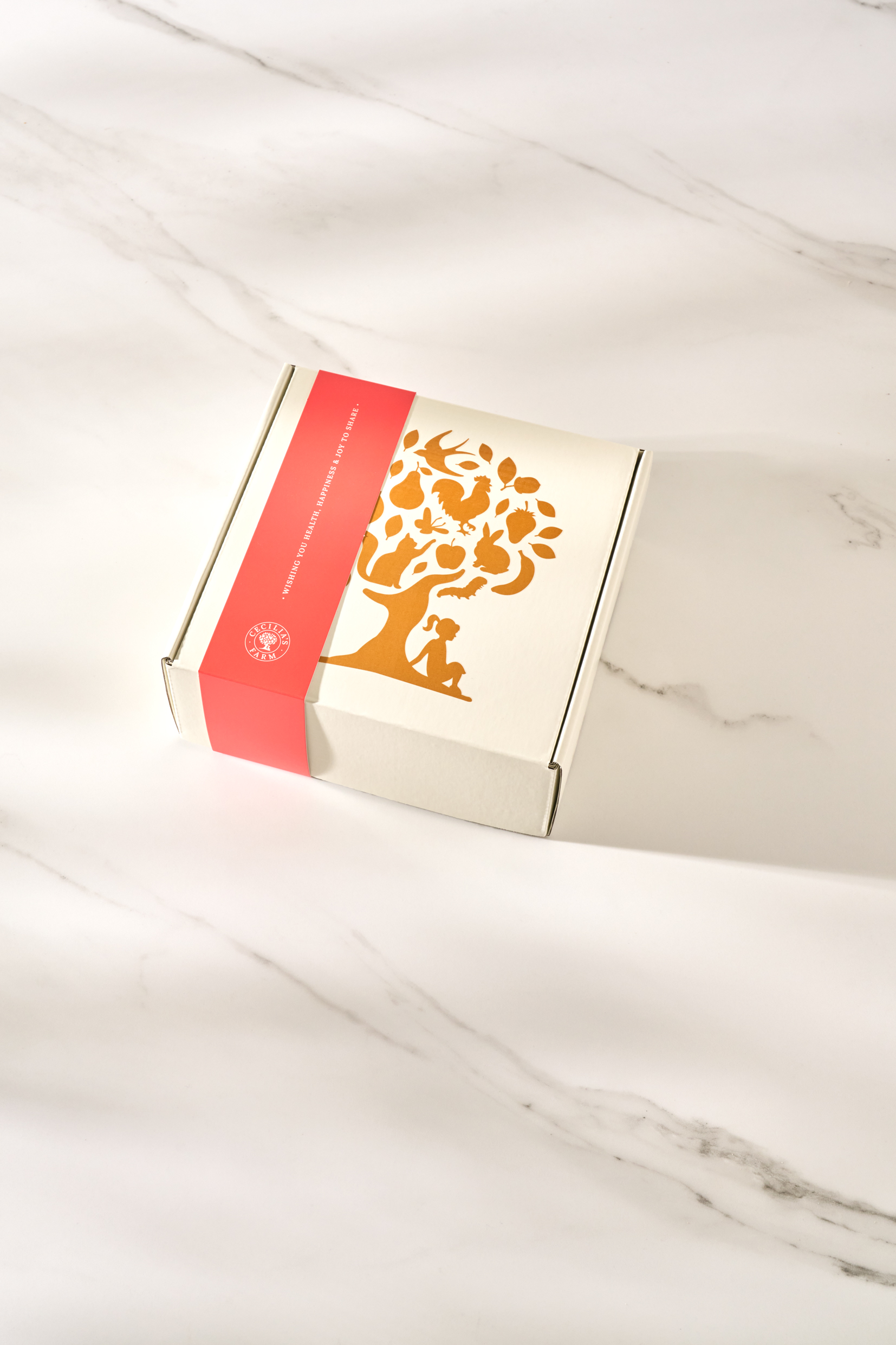 Small Gift Box (empty box) - Image 4