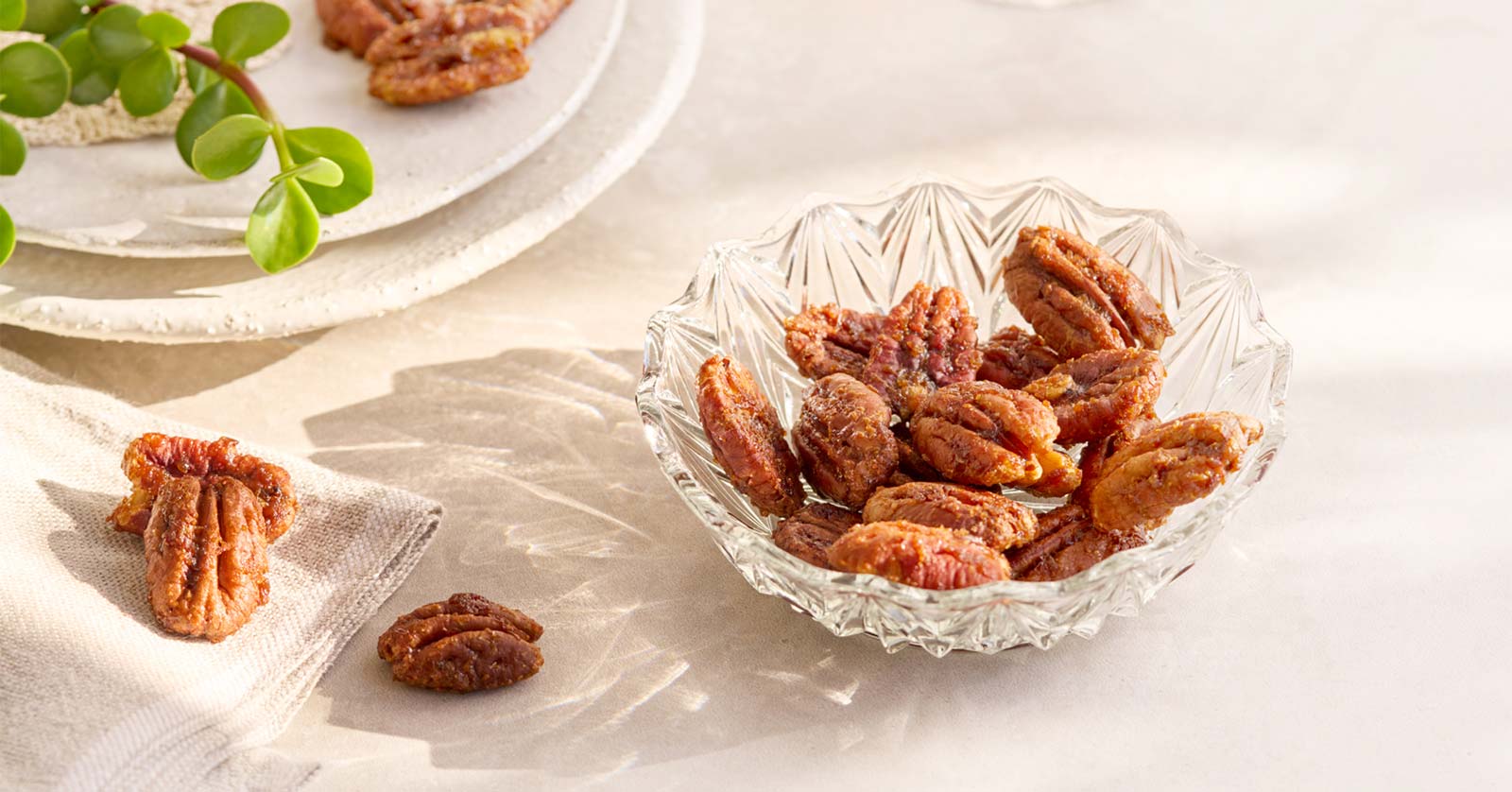 Picture of Pecan Nuts for Sale Online in South Africa